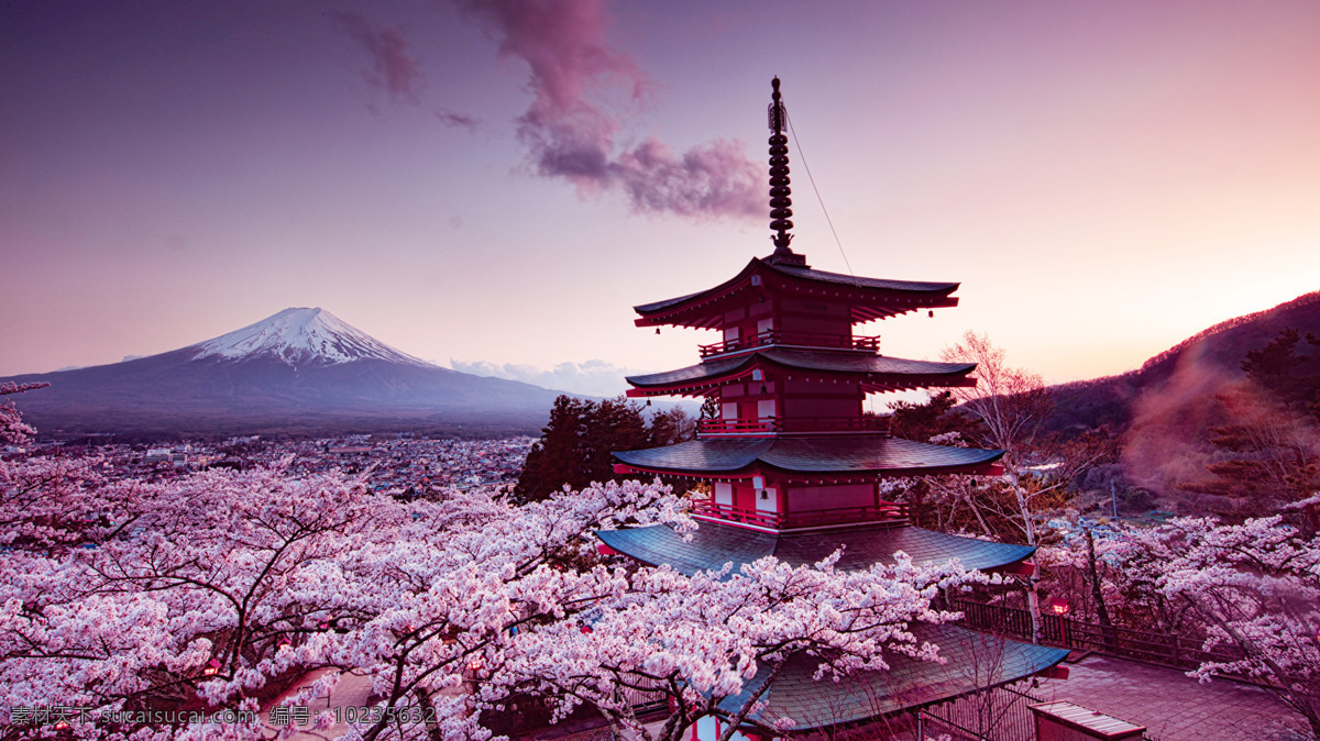 樱花富士山 樱花 花城 日本 富士山 楼 花 高清图片 旅游摄影 自然风景