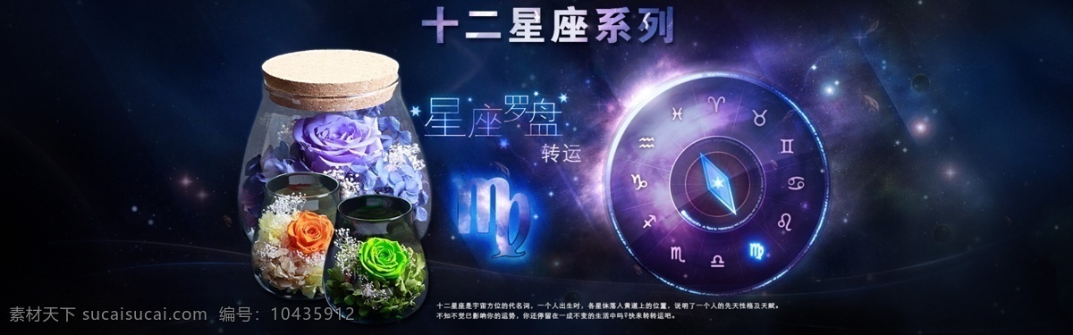 十二星座 永生 花 banner 海报 永生花 干花 花店 大图 黑色