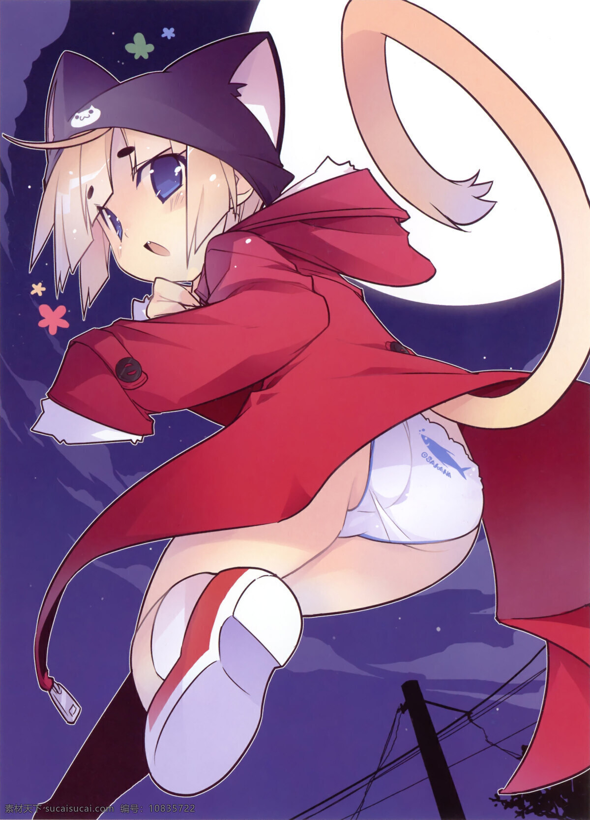 萌猫少女 猫耳 夜空 动漫 萝莉 loli 白色