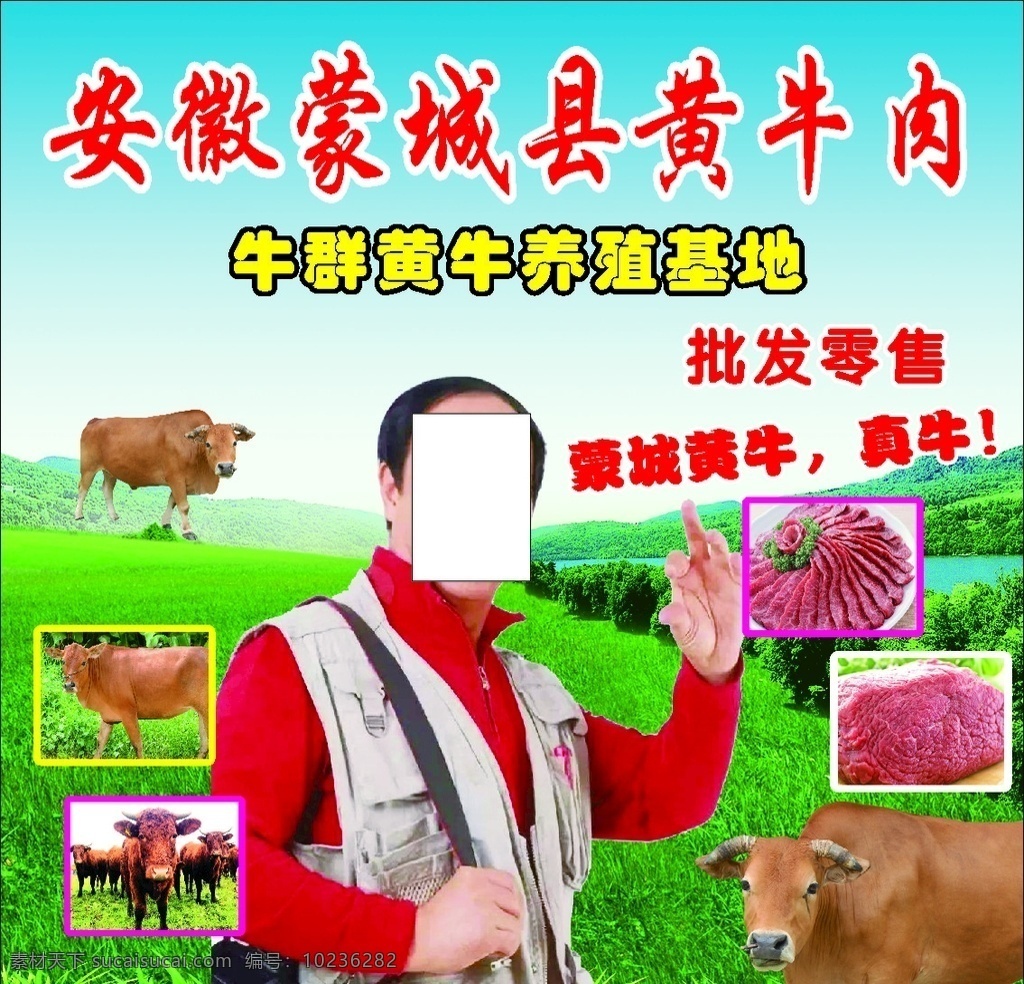 蒙城黄牛肉 黄牛 广告 肉