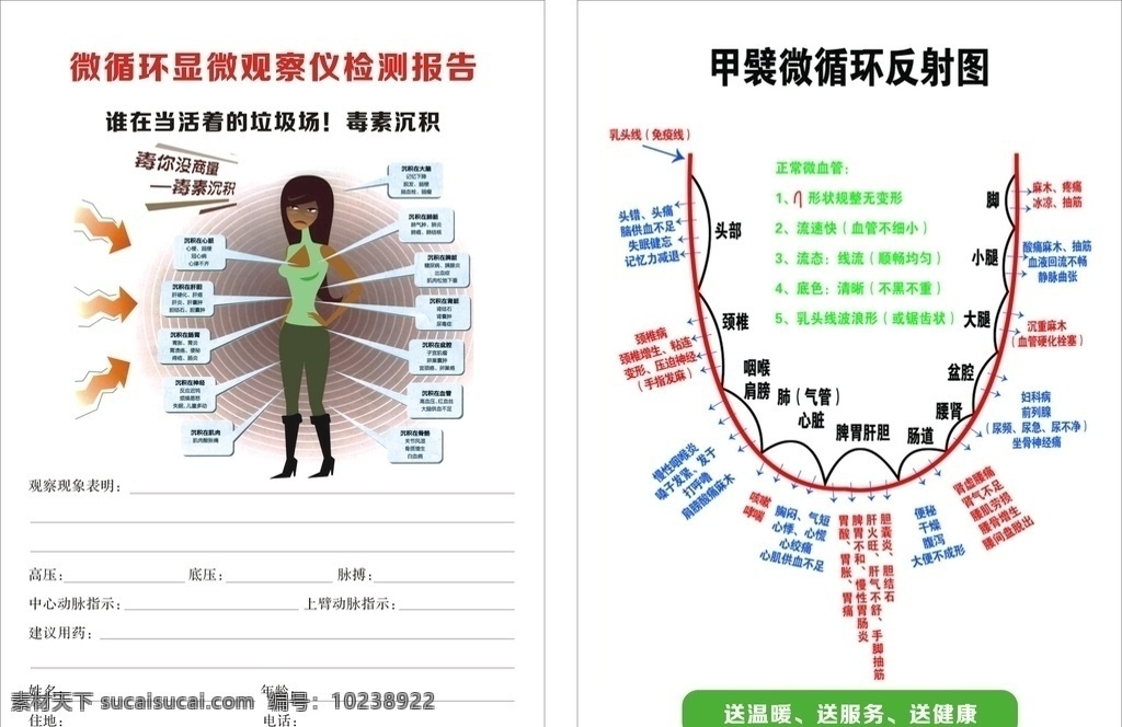 微循环显微 观察仪检测 反 反射图 毒素沉积 检测报告 微循环 宣传单 dm宣传单