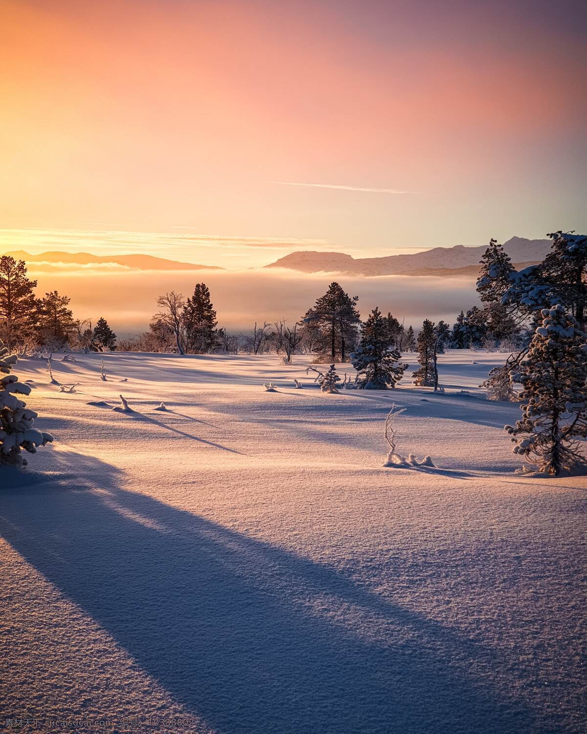 雪原日落 旅游 欧美 冬季 雪原 日落 积雪 树木 壮美 拍摄 摄影类 自然景观 自然风景