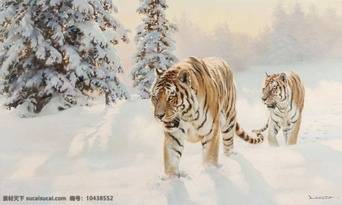 东北虎 唐纳德 格兰特 作品 英国画家 又名 西伯利亚虎 雪地上 观景 松树下 冰天雪地 20世纪油画 油画 绘画书法 文化艺术
