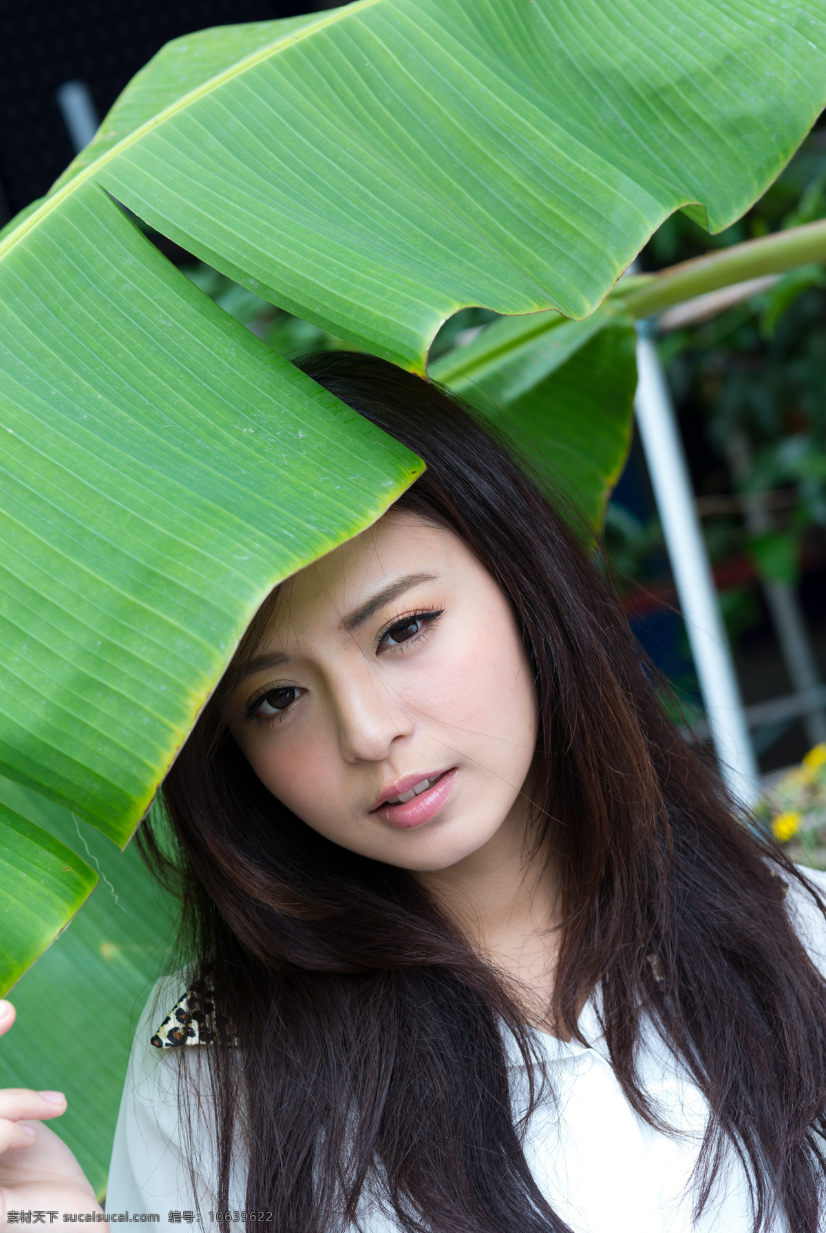 美女 气质 休闲 性感 芦荟叶 绿叶 女性女人 清纯 美女写真 写真 实拍 人物图库 外拍美女 高清 美女摄影