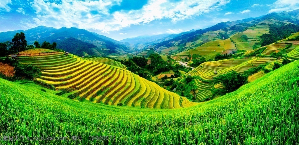 梯田 风景 绿草 蓝天 白云 高清图片 自然景观 自然风景