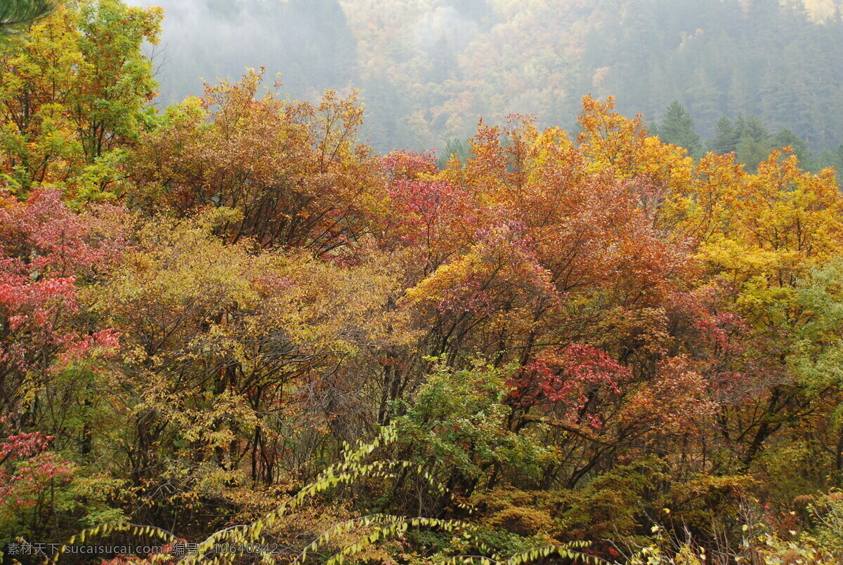 自然风景 高清背景 高清图片素材 高清晰风景 美丽 自然风光 风景 生活 旅游餐饮