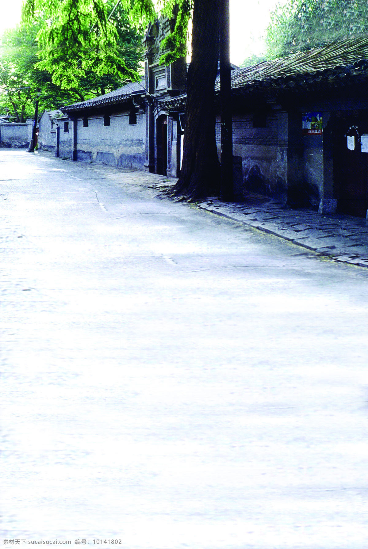古朴 建筑 路边 高清 大图 绿树 成荫 植物 年代 久远 时代感 平房 四合院 树根 大树 树干 砖瓦 屋楞 官员 朝代 脚下的路 清新 悠远 干净 旅游 白色
