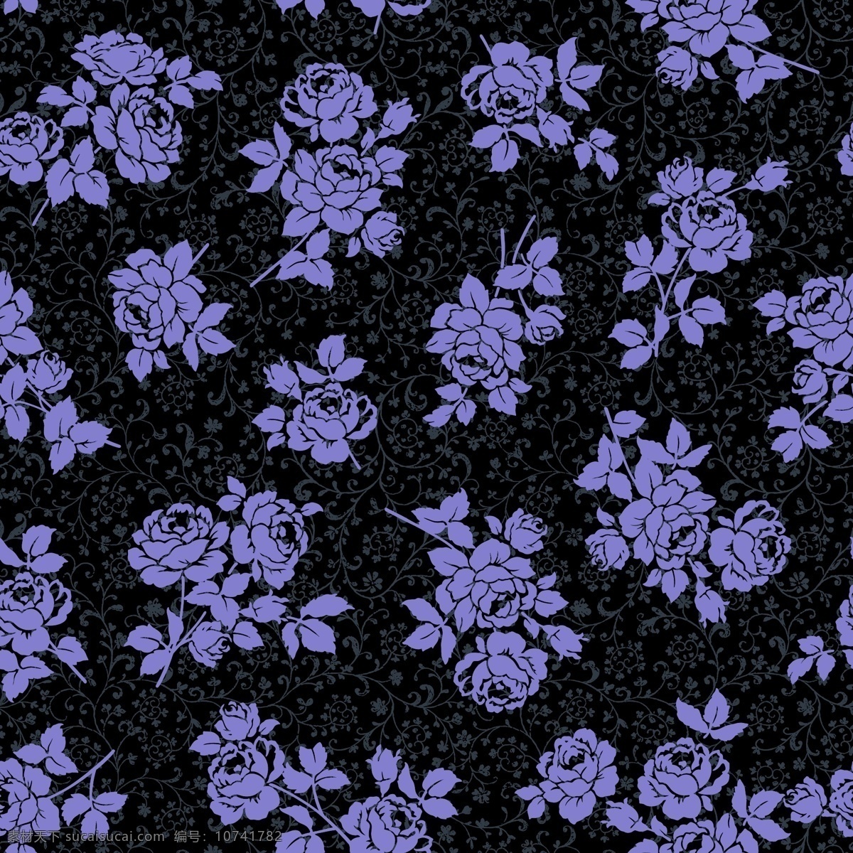 紫色玫瑰背景 植物 浪漫 紫色 玫瑰花 月季花 背景 底纹