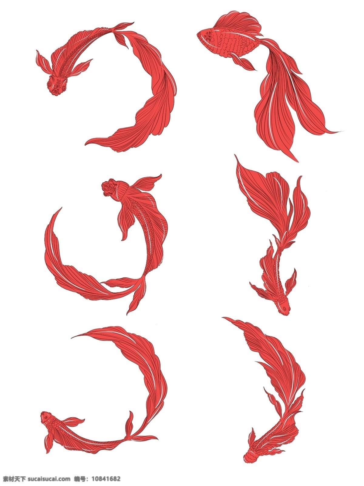 手绘 动物 中国 风 红色 金鱼 手绘动物 手绘金鱼 中国风 中国风金鱼 红色金鱼