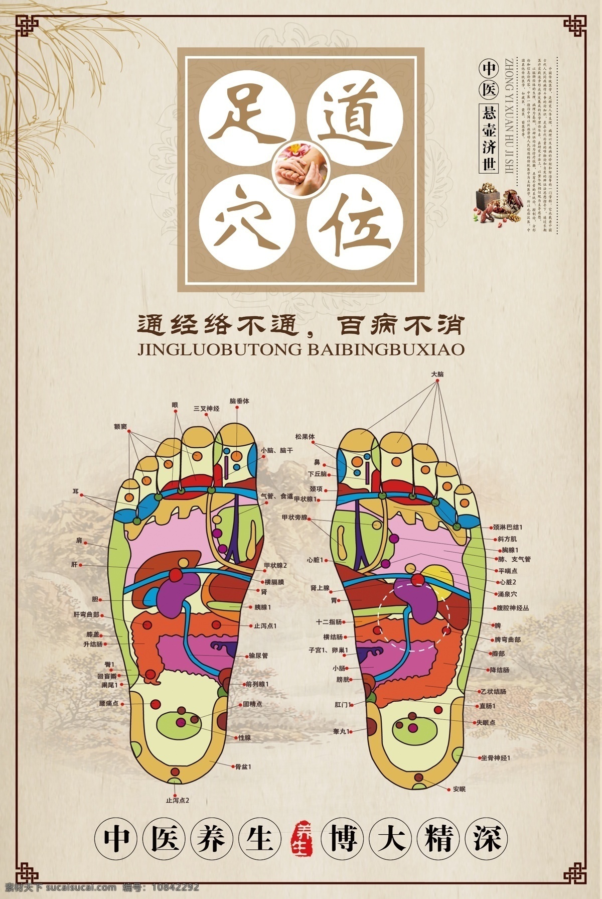 足疗养生 中医足疗 足疗会所 足疗中心 足疗广告 足疗文化 中式背景 复古背景 怀旧复古 复古怀旧 中国风 中医养生馆 养生馆 足浴店背景墙 道 中医足疗保健 足疗海报 足部按摩 足疗展板 足疗分解图 足浴 沐足 足疗背景墙 足疗装饰画 足疗背景 足疗背景图 足疗壁画 足疗墙画 足疗壁纸