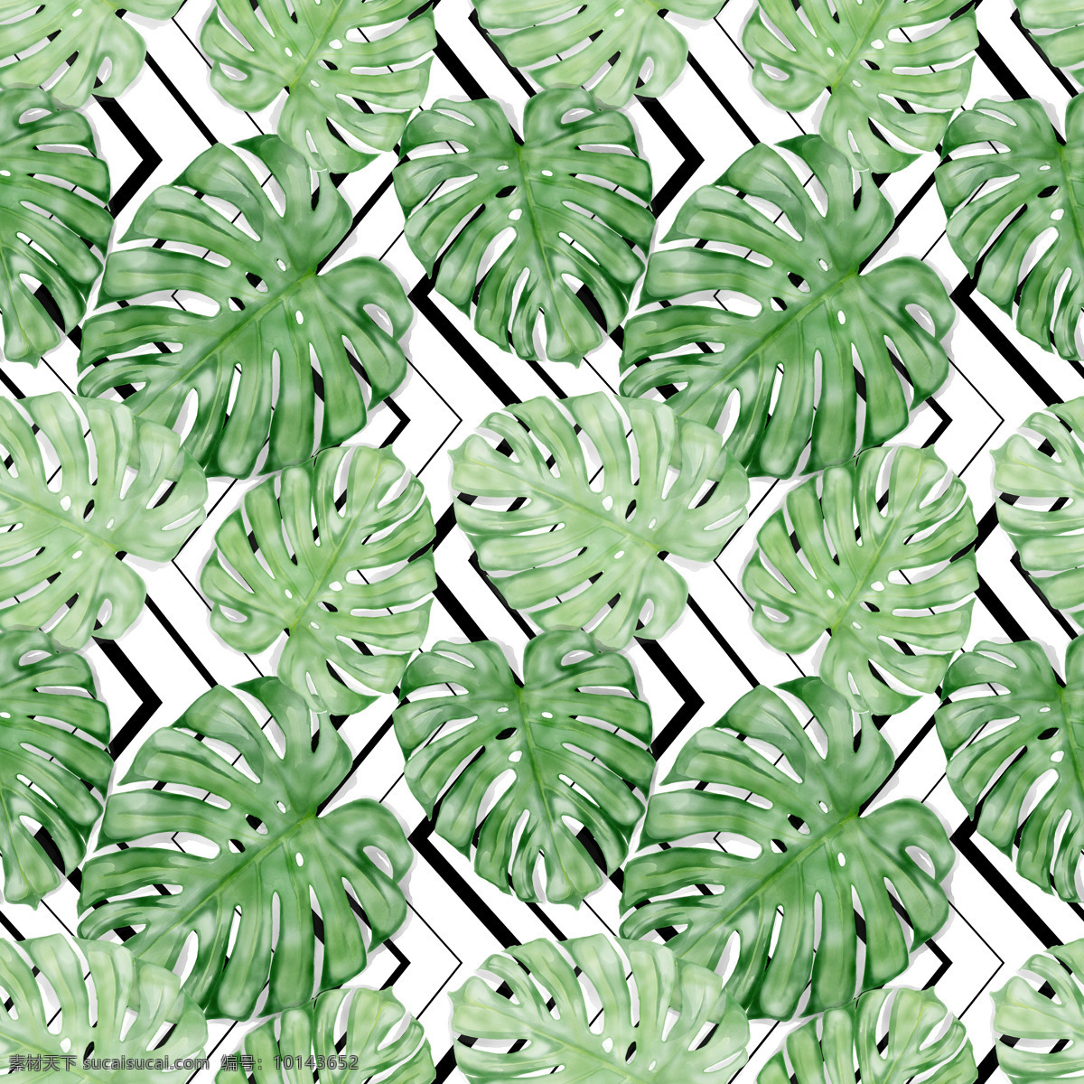 热带 植物 服装纺织 数码 印花 图案 热带植物 服装 纺织 数码印花 印花图案 移门图案