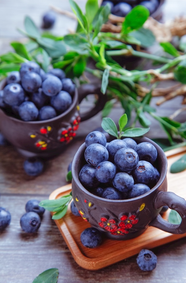 蓝莓 水果 花青素 新鲜 营养 美味 生物世界