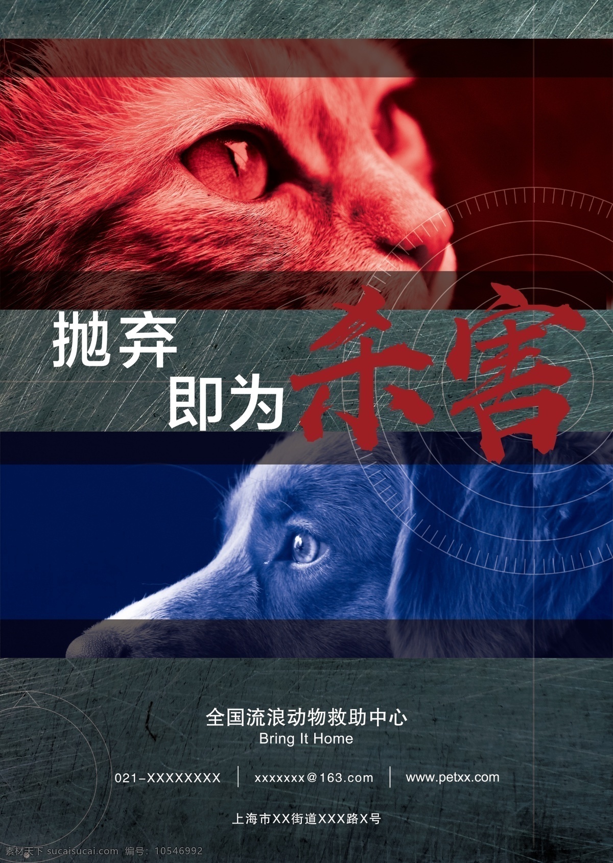 公益广告 关爱流浪动物 猫 狗 公益 保护动物 海报