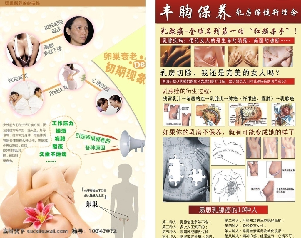 丰胸 保养 卵巢 暖巢 胸部 乳腺癌 乳房保健