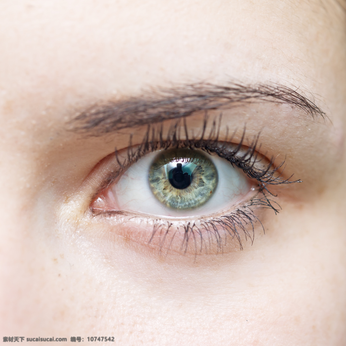 女性 眼睛 特写 睫毛 眼睛特写 瞳孔 眼珠 眼球 女性眼睛 人体器官图 人物图片