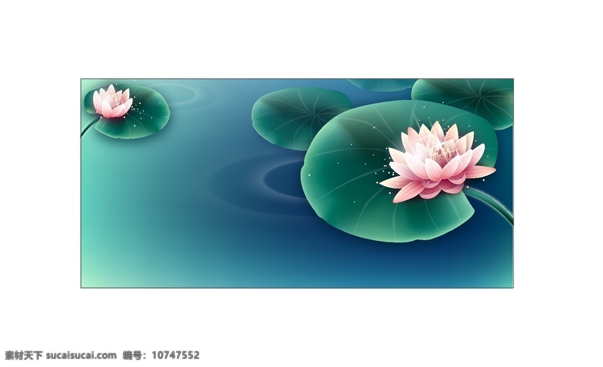 美丽荷花 青色 天蓝色