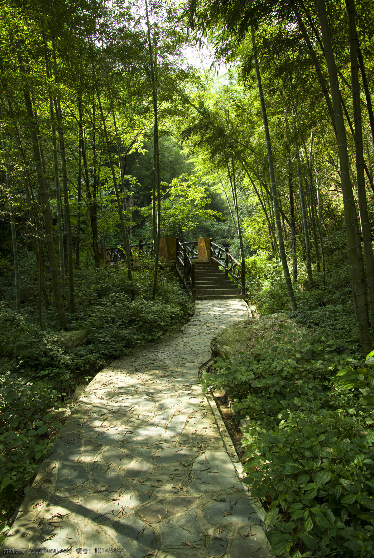 风景 大熊山 竹林 静静 自然景观 自然风景