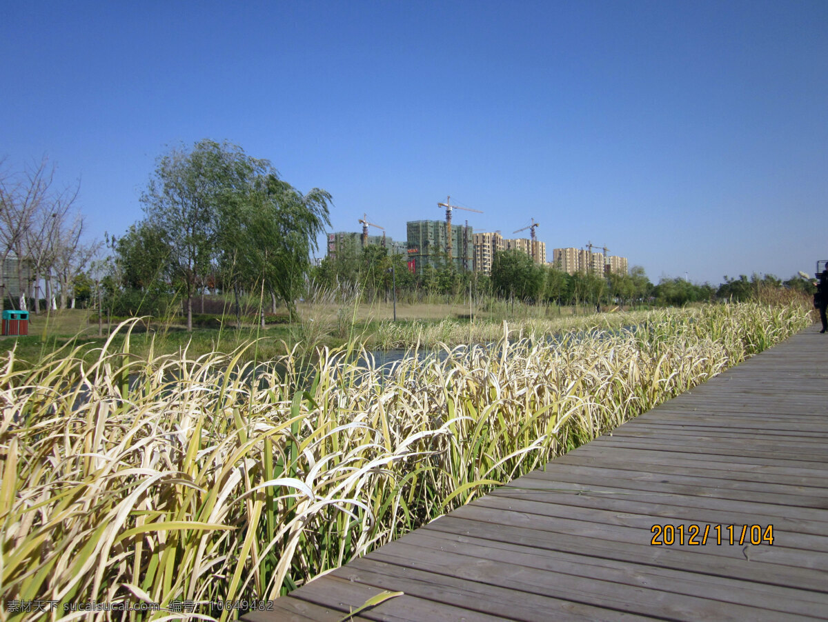 美景 草 春天 蓝天 蓝天绿草 芦苇 绿色 自然风光 田园风光 自然景观 psd源文件