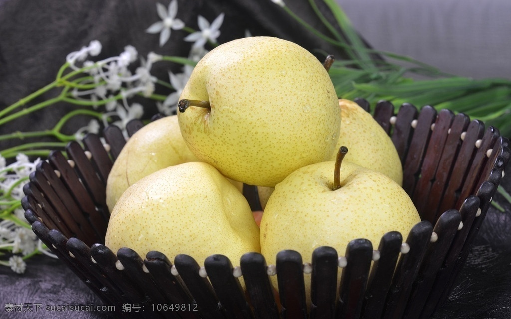 酥梨 蒲城酥梨 陕西特产 梨 鸭梨 生物世界 水果