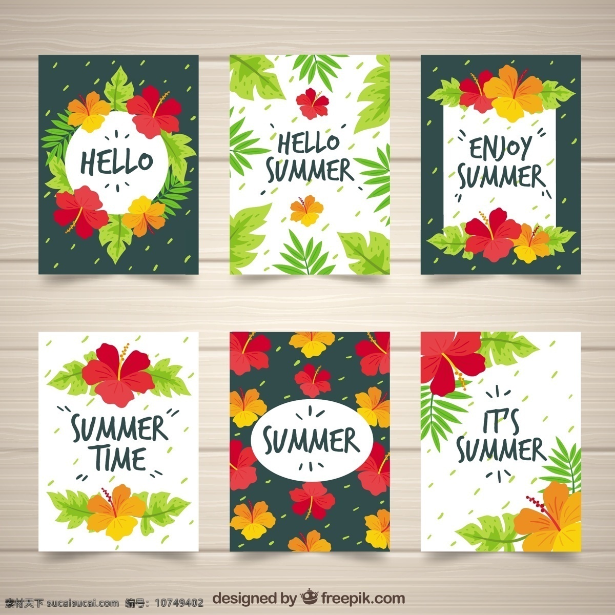 多彩 热带 夏季 贺卡 花卉 请柬 卡片 自然 树叶 五颜六色 植物 棕榈 开花 美丽 热带花卉 花卉卡片