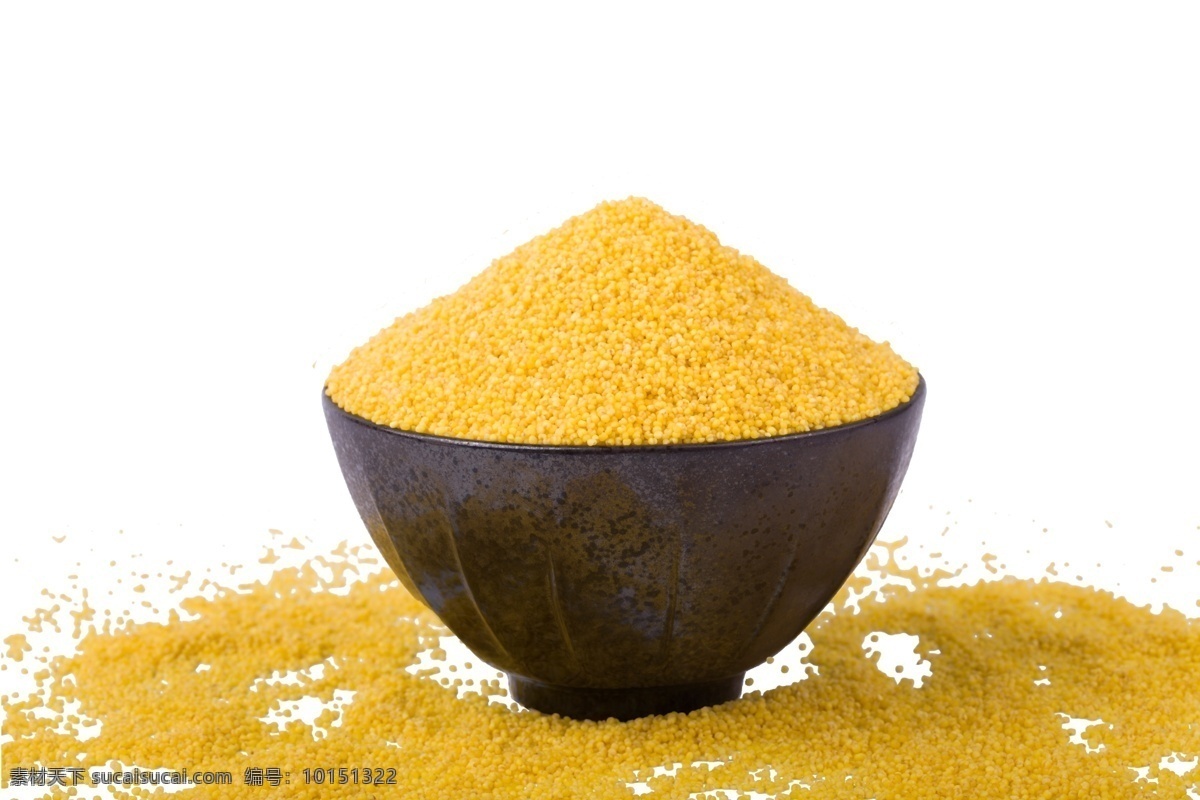 碗 里 黄色 小米 颗粒状 小 米粒 黄小米 种子 杂粮 粗粮 小米穗
