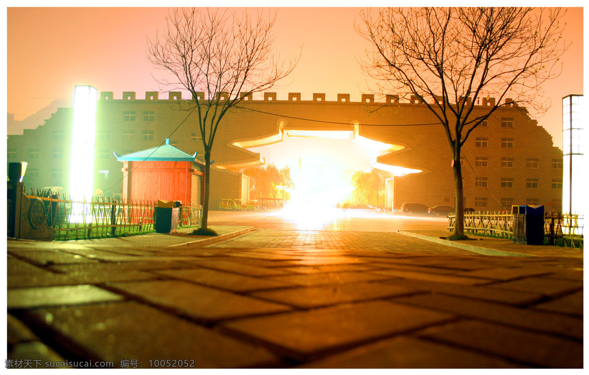 隋唐 植物园 夜景 隋唐植物园 洛阳牡丹 牡丹花 洛阳 牡丹 自然风景 自然景观 建筑景观