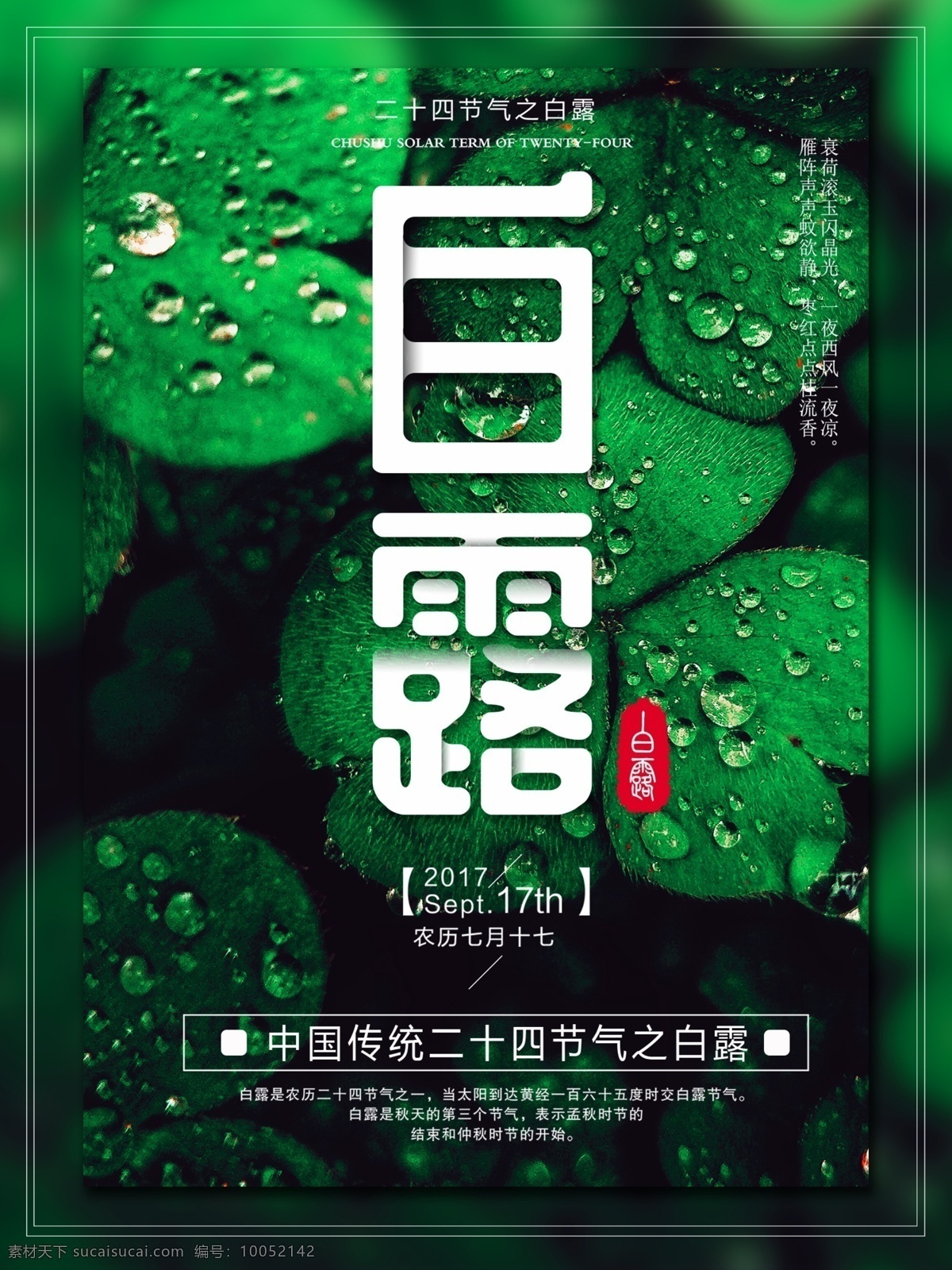 简约 大气 白露 海报 二十四节气 传统 节气 处暑室外海报