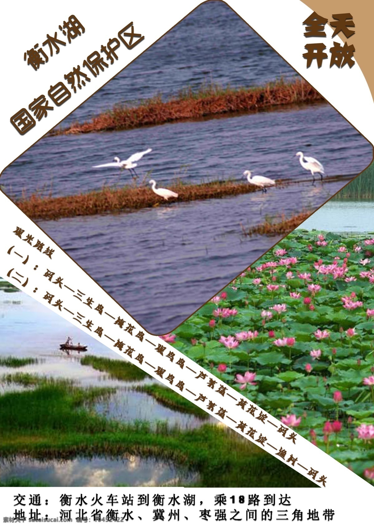 衡水 湖 国家 自然保护区 景点 景区 衡水湖 宣传页 白色