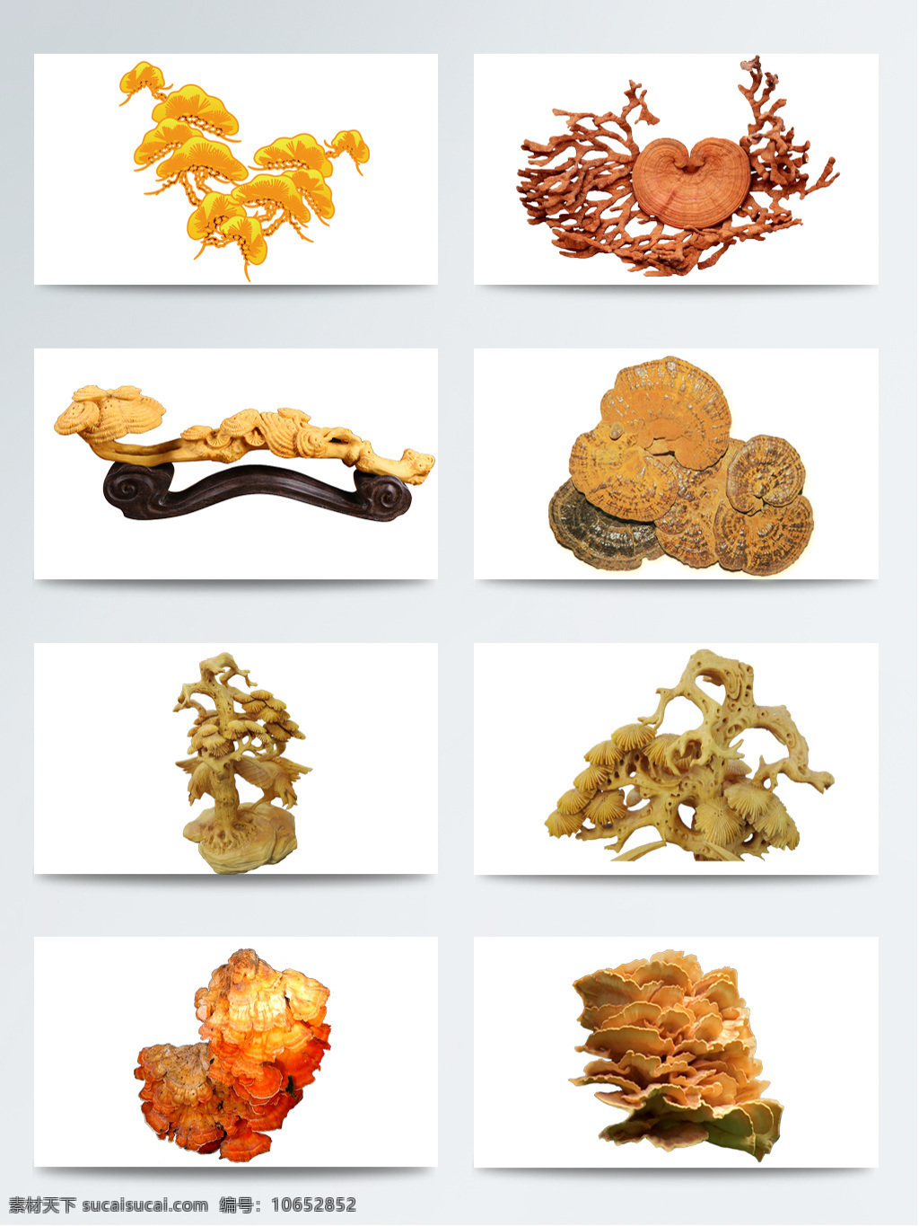 雕刻 工艺 灵芝 元素 雕刻灵芝 浮雕 红木雕刻素材 健康 立体灵芝 美食 生动 药材 药物 中国风 中药