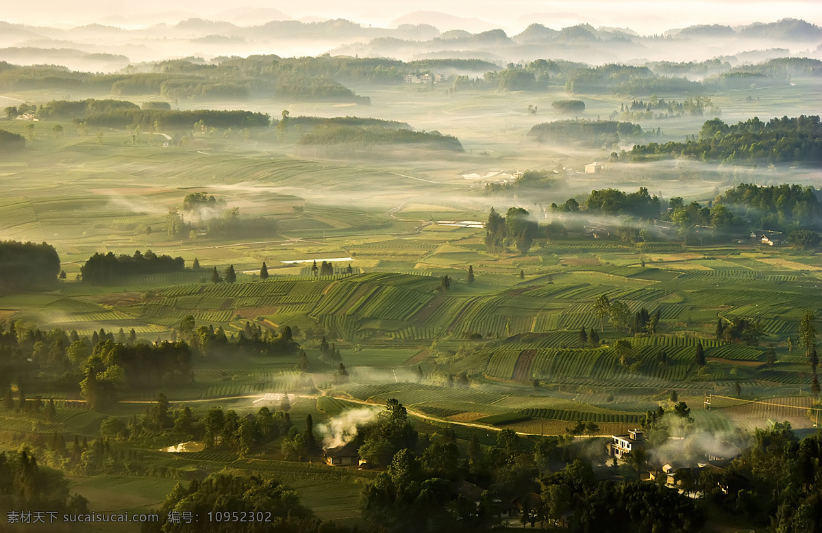 茶叶 茶山 茶 茶山风景 茶背景 自然景观 田园风光