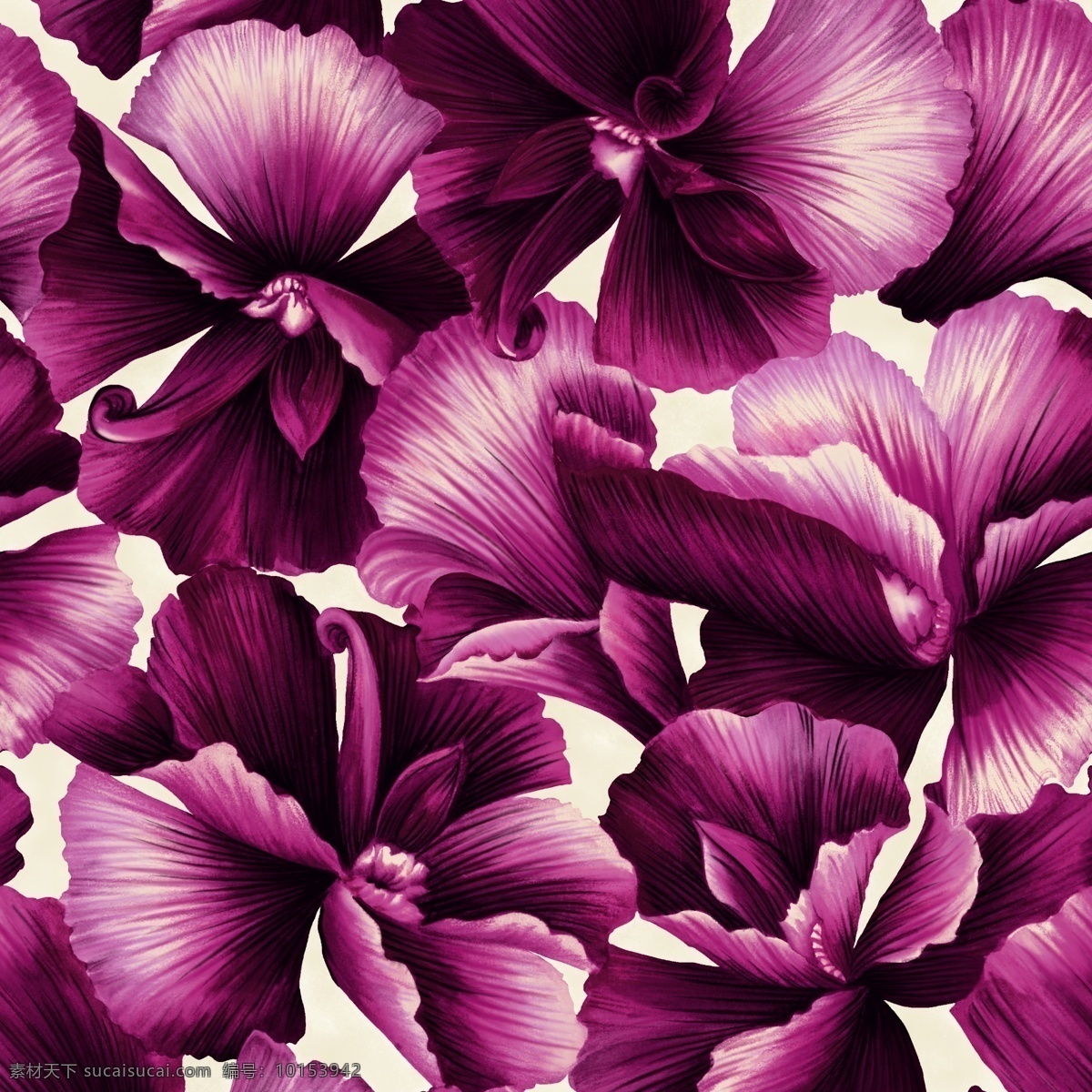 紫花 分层 源文件 花卉图片 广告素材 广告设计素材 黑色