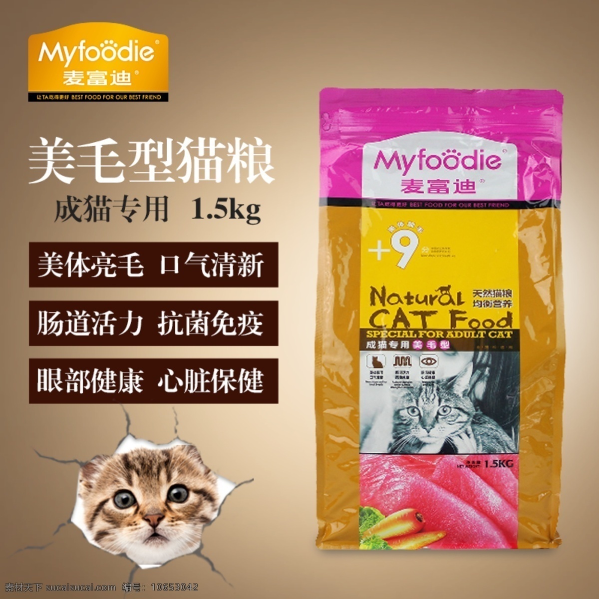 淘宝 宠物 猫粮 主 图 模板 主图 黄色