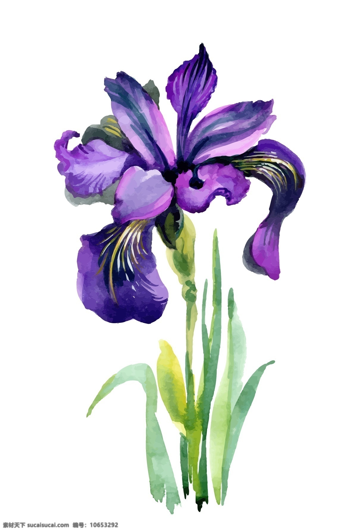 紫色 花朵 水彩 手绘 矢量 文件 中国风 装饰 小花 鲜花 卡通 植物 印刷 高清