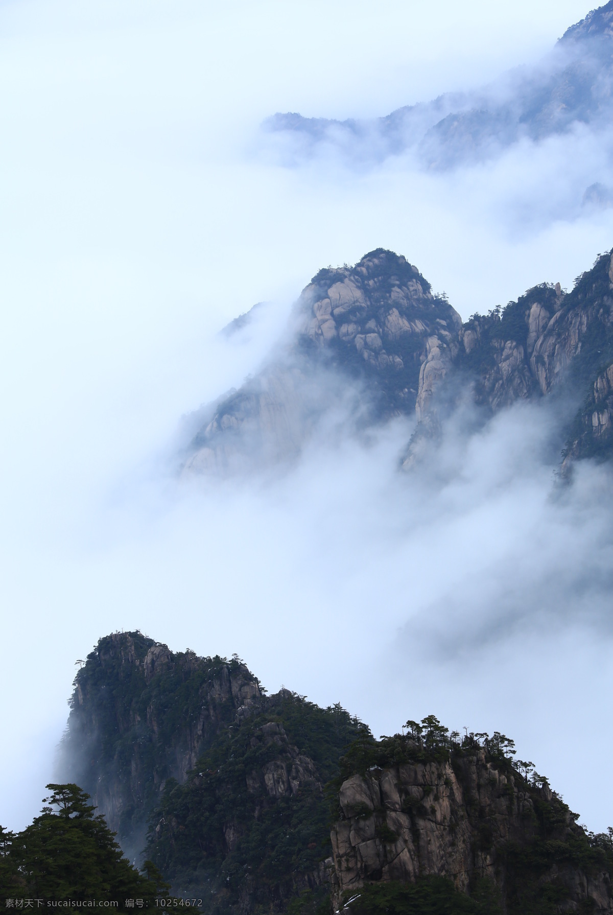 云海之中 云海 山间 山间云海 云雾 云里雾里 大山 自然景观 山水风景