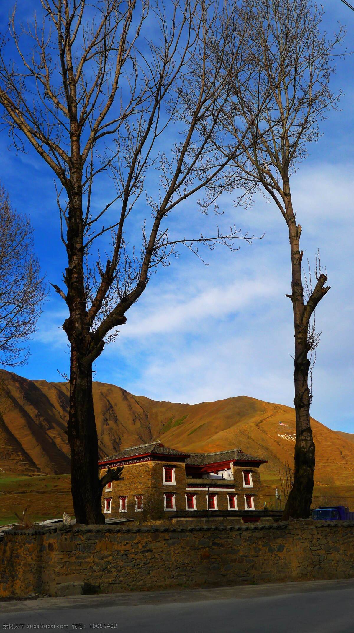 藏区小屋 西藏 风景 小屋 树 美景 旅游摄影 自然风景