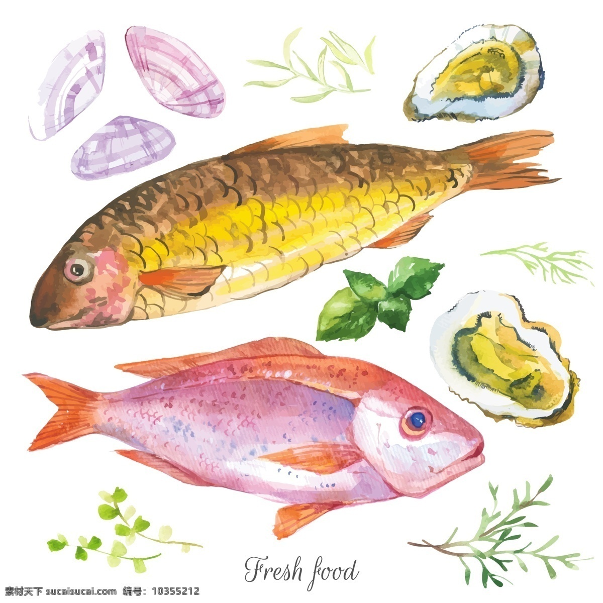水彩 绘 海洋鱼类 插画 海鲜 黄花鱼 生耗 生物 手绘 水彩绘 鱼类