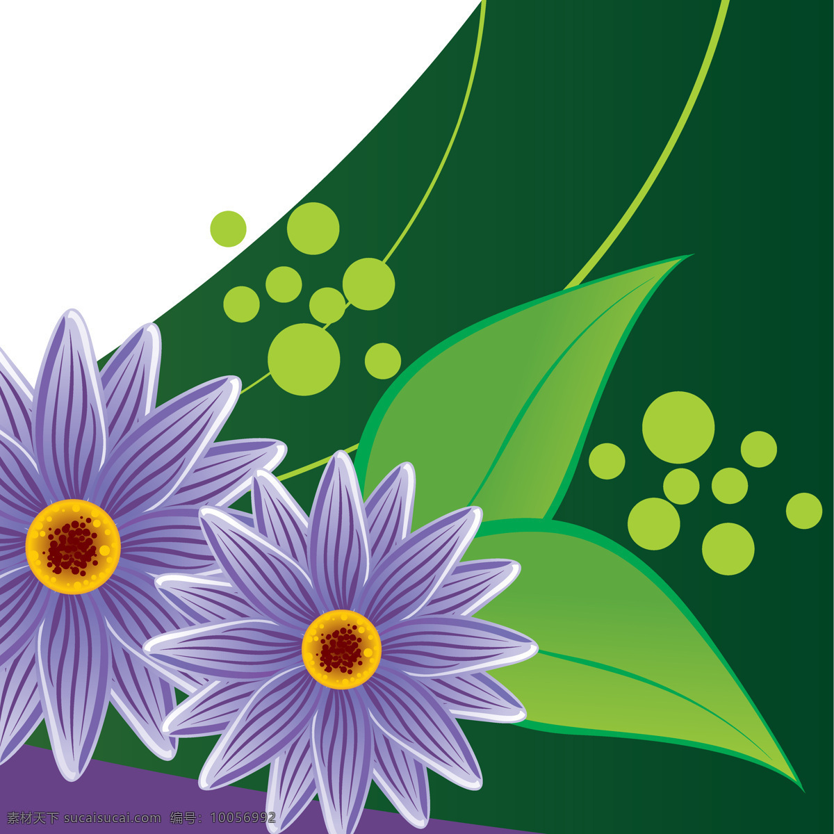紫色 花卉 装饰 图 白色 花朵 写意花卉 植物图案 位图 花朵图片 紫色花朵 绿叶