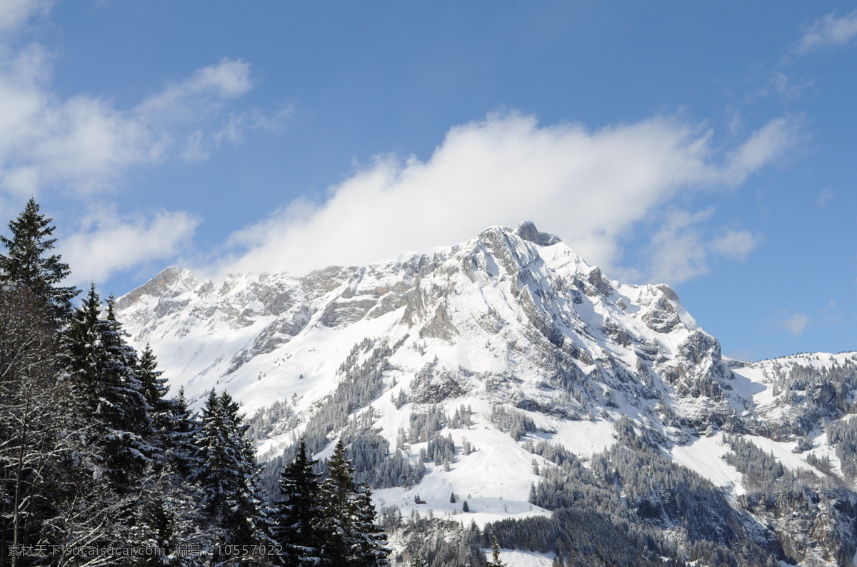 瑞士 阿尔卑斯 铁力市 雪山 阿尔卑斯雪山 瑞士风景 瑞士旅游 瑞士雪山 旅游摄影 国外旅游