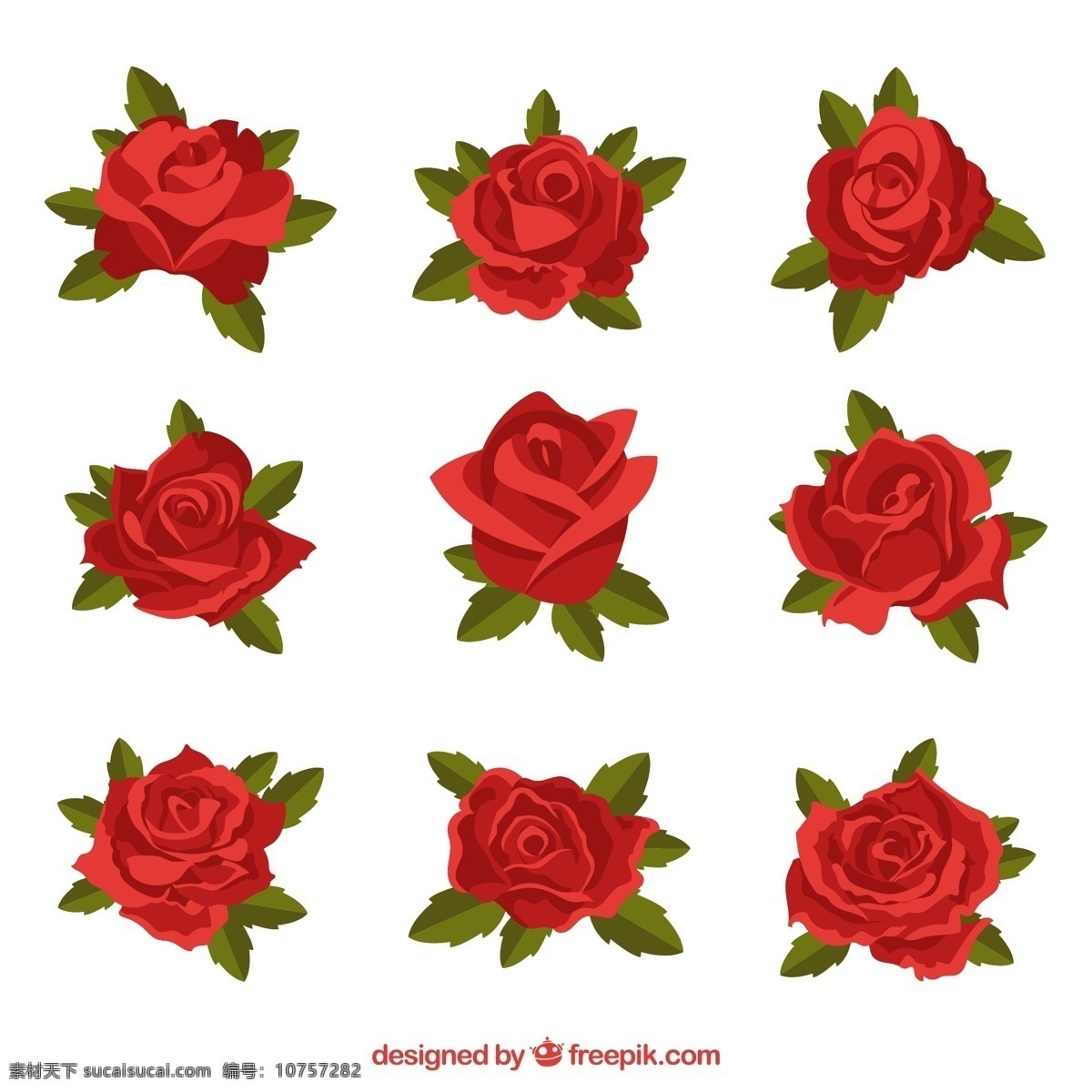 带 叶 玫瑰花 矢量 红玫瑰 玫瑰叶子 花卉 矢量图 格式 高清图片
