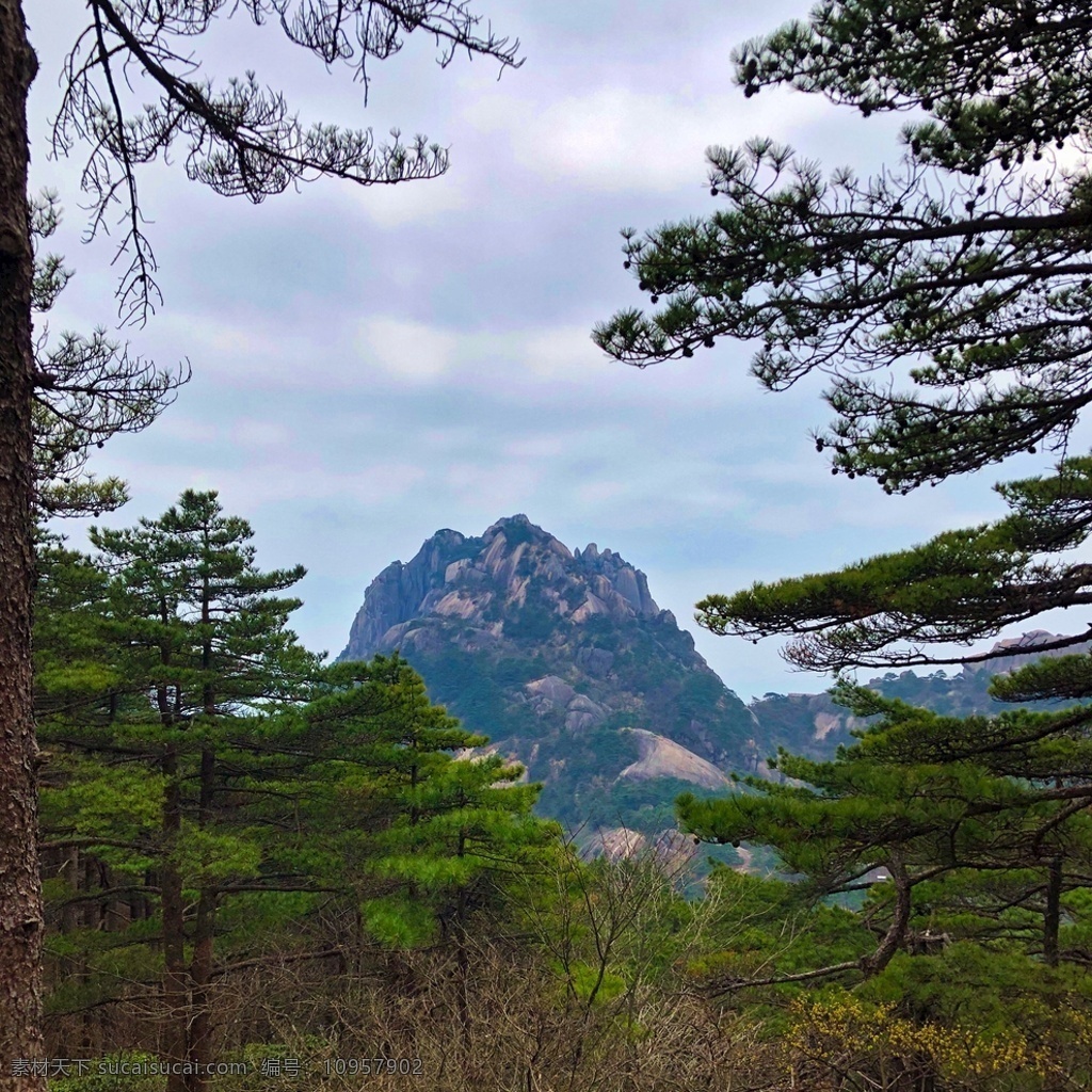 黄山 大山 山川 山脉 宏伟 自然景观 自然风景