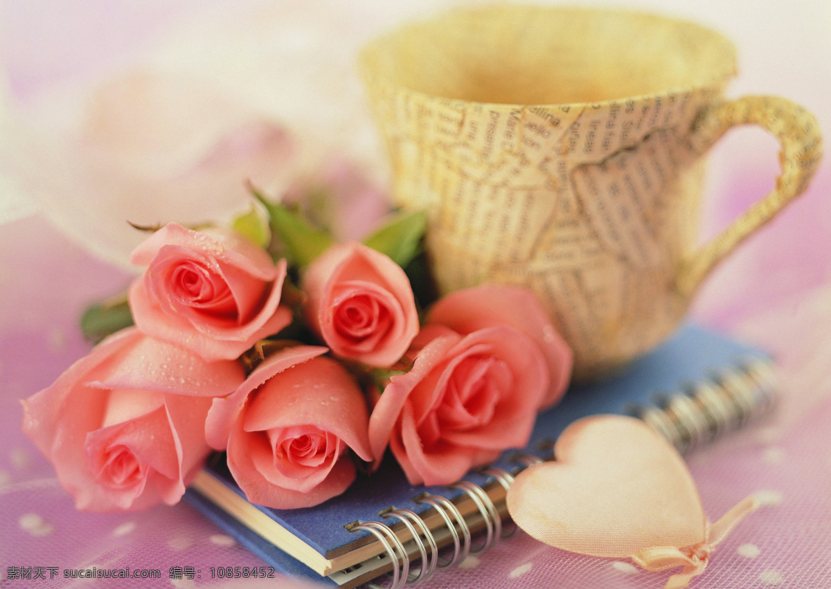 粉色 玫瑰花 杯子 粉色玫瑰 花朵 花卉 心形 笔记本 花草树木 生物世界