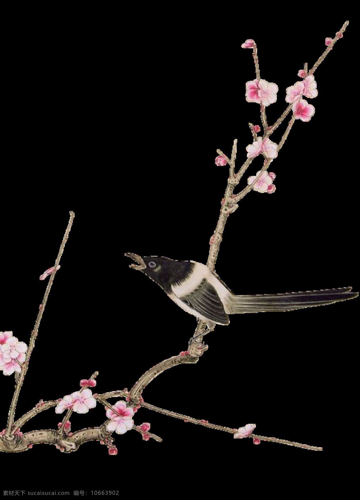 粉色 花枝 免扣 小鸟 元素 上