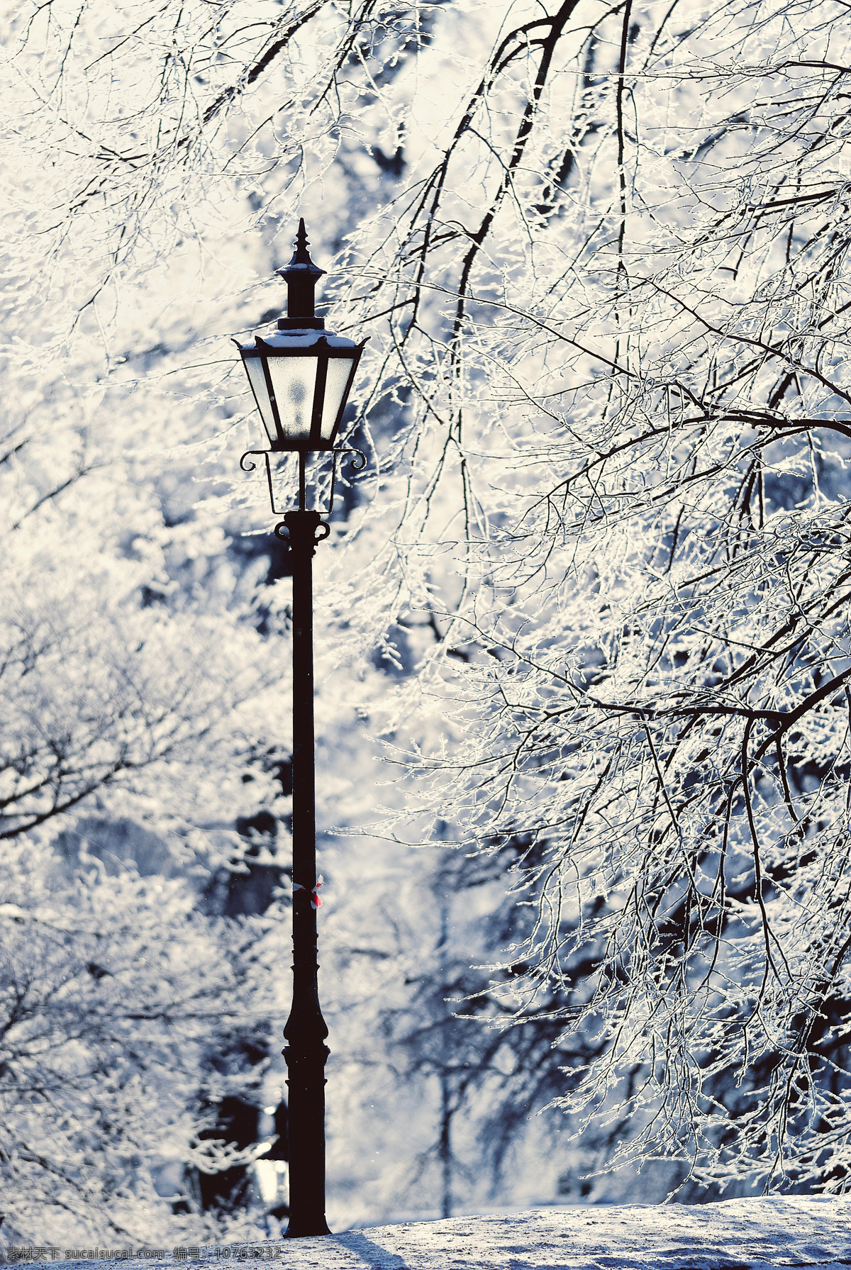 冬季风光 冬季 冬天 寒冬 大雪 冰雪 风雪 雪山 雪景 美景 冬季美景 冬天风景 银装素裹 雪地 景色 童话世界 自然风景 自然景观