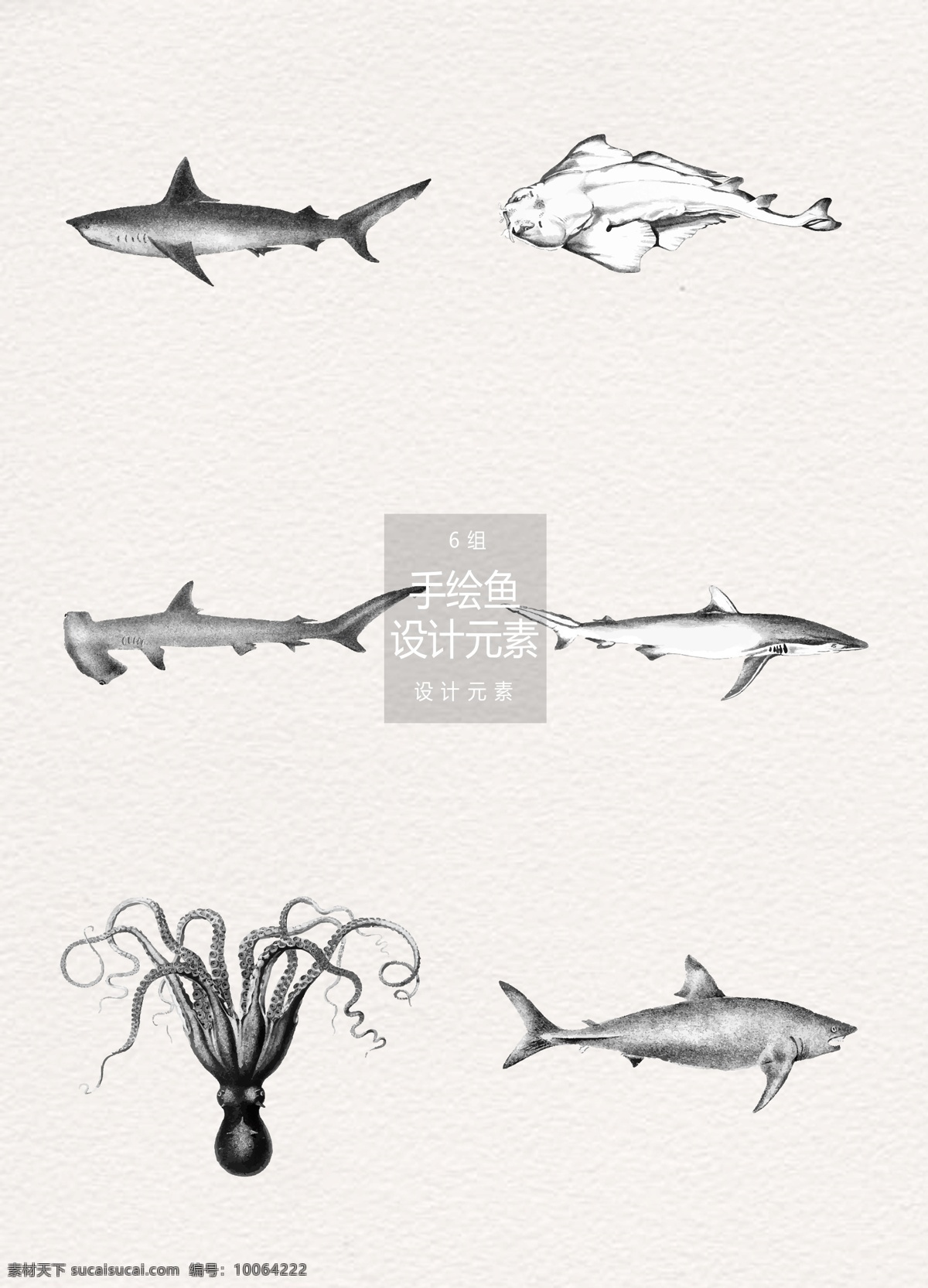 手绘 鱼 插画 矢量 元素 设计元素 鲨鱼 深海鱼 章鱼 墨鱼 手绘鱼 鱼插画