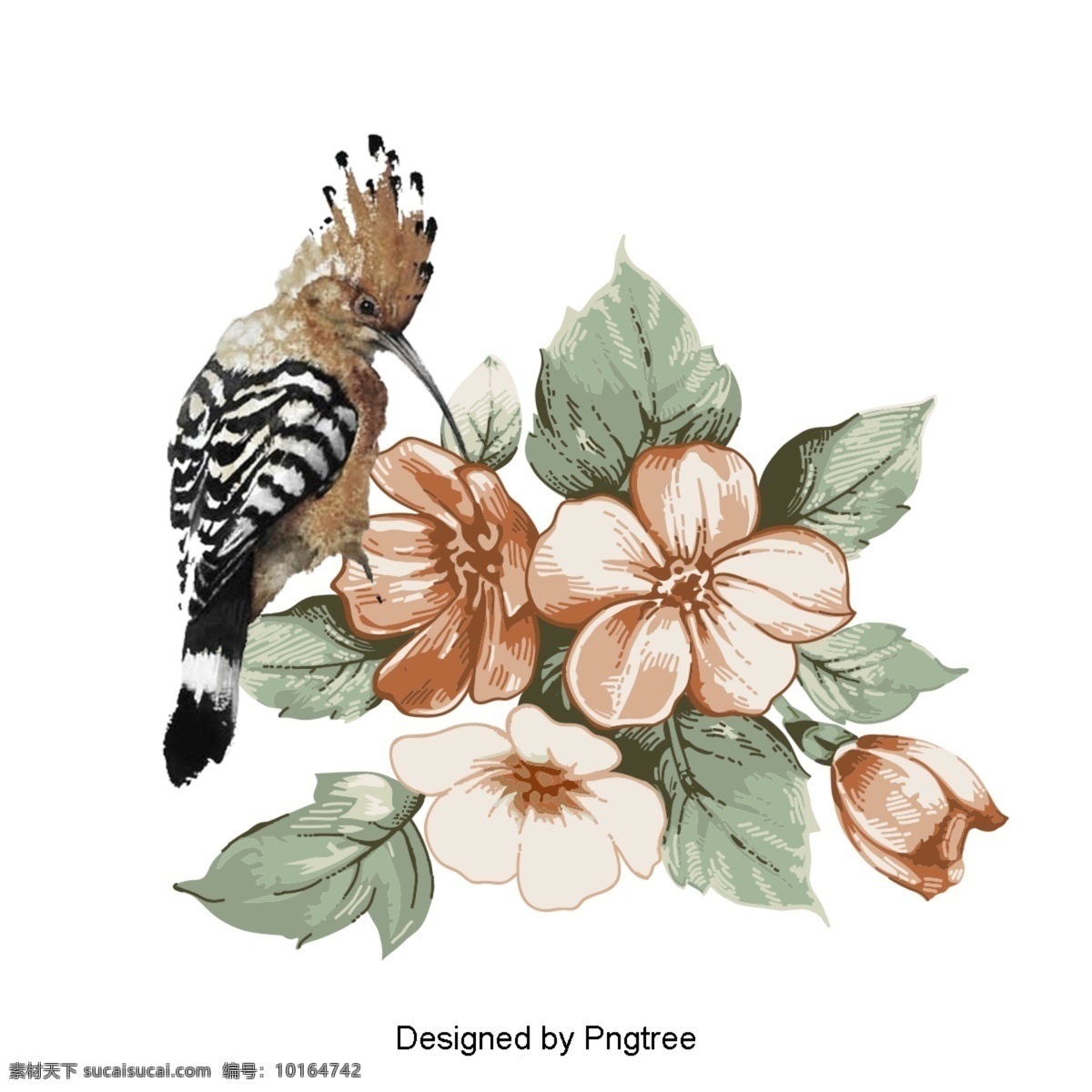 手绘花鸟图案 手绘 极 简 主义 鸟 动物 自然 图形设计 材料 图像 抽象 颜色