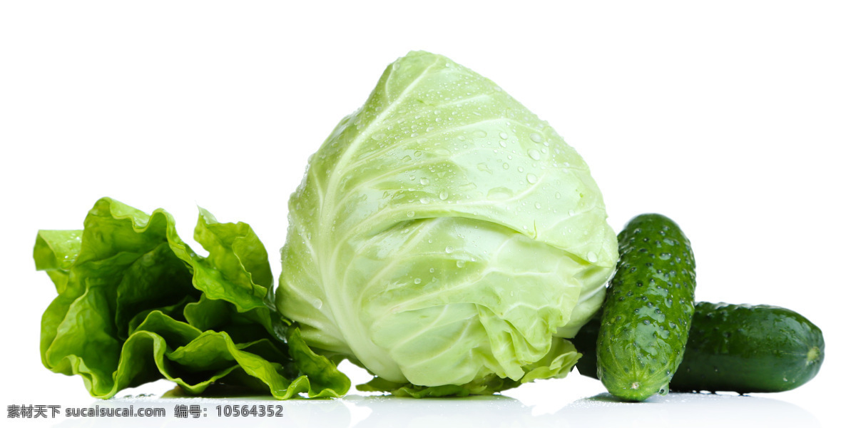 黄瓜 卷心菜 绿色蔬菜 青菜 生菜 生物世界 食材 黄瓜包心菜 包心菜 蔬菜 有机蔬菜 无公害蔬菜 菜叶 食物 风景 生活 旅游餐饮