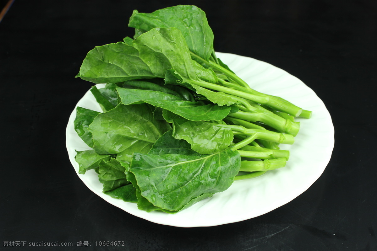 芥兰 青 菜 田园时蔬 素菜 青菜 生物世界 蔬菜