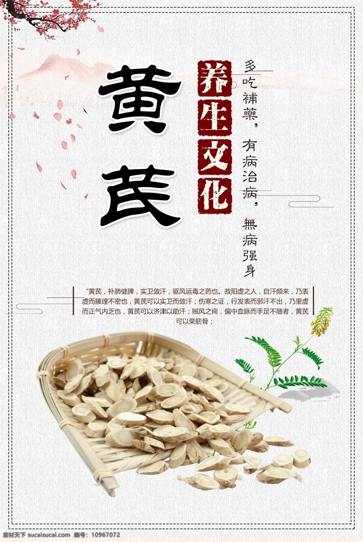中药 药材 系列 展板 中药养生 中药材 灵芝 虫草 人参 枸杞 中医文化 药材系列展板 分层