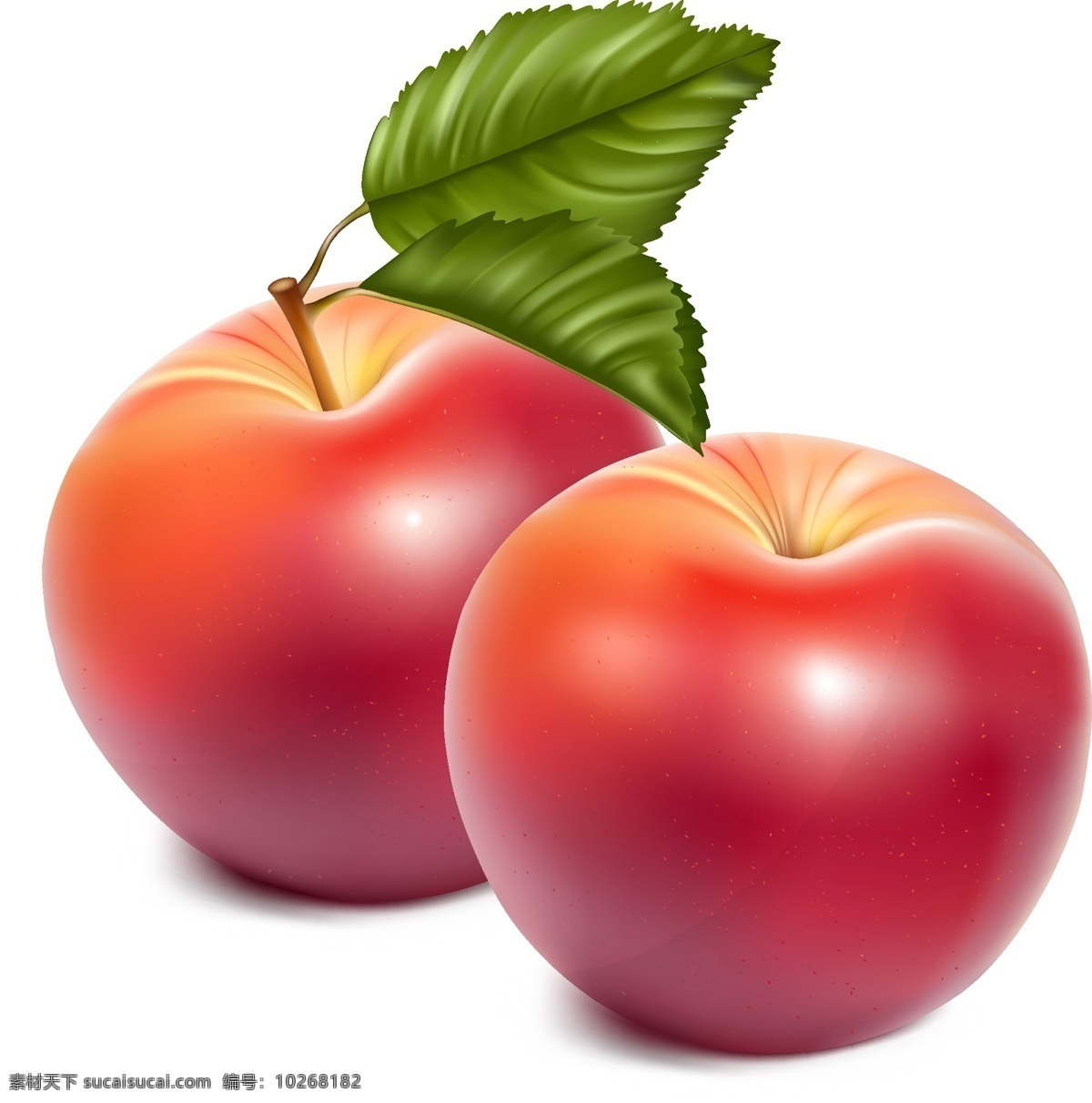 矢量 红色 苹果 元素 水果 ai元素 免扣元素