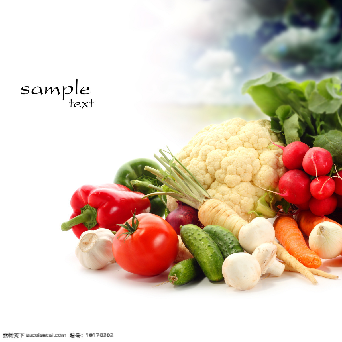 各种蔬菜 食物 蔬菜 新鲜蔬菜 鲜艳 美味 可口 花菜 番茄 黄瓜 水果蔬菜 餐饮美食 白色